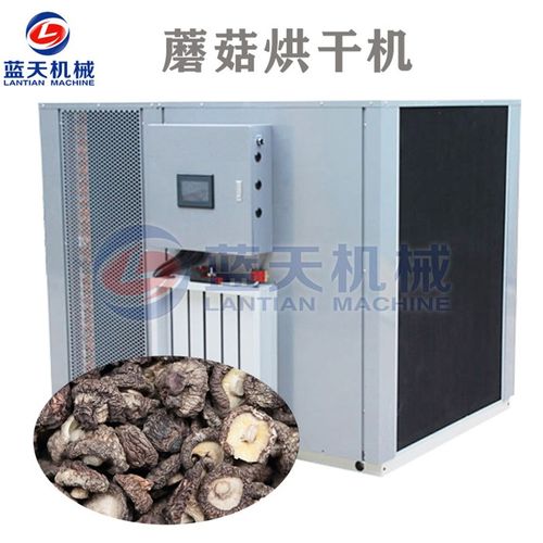 蓝天机械 家用蘑菇烘干机制作技术 辽宁蘑菇烘干机