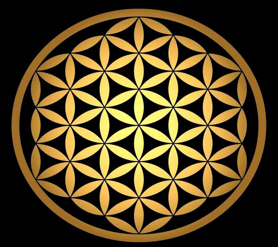 生命之花的秘密:神圣几何