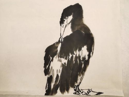 大骞研习社主讲赵晨导师:写意花鸟画绣眼,蜡嘴和鸬鹚的画法讲解与示范