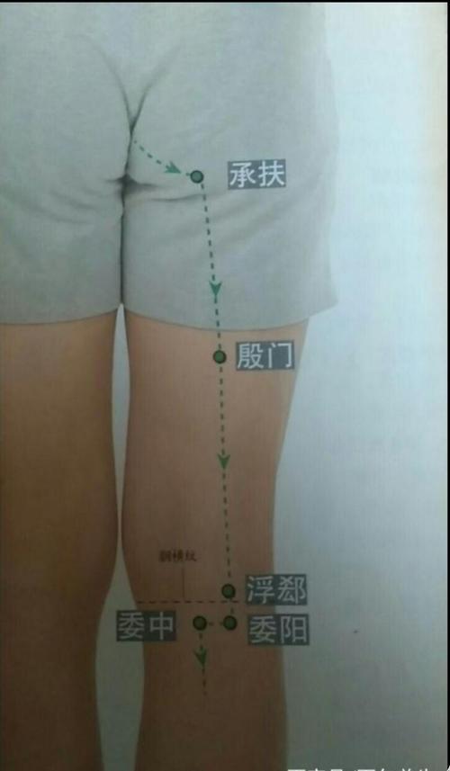 取穴时先找到承扶穴,膝盖后面凹陷中央的腘横纹中点,二者连线的中点再