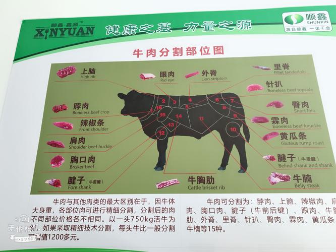 牛肉怎么分割的看过来