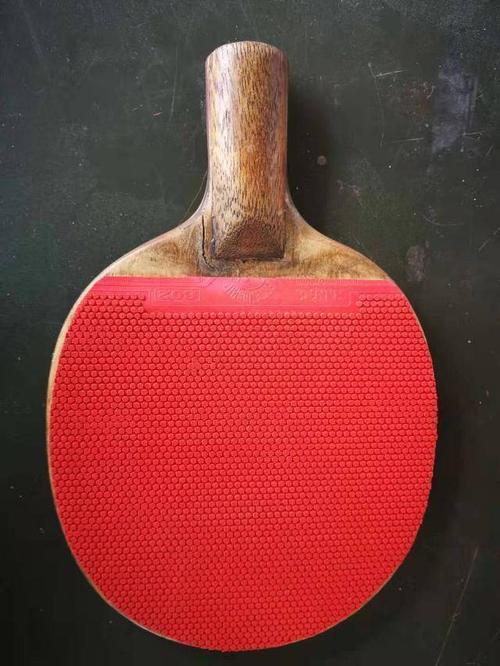 你还记得这些乒乓球直板正胶高手吗?其中有4位广西人