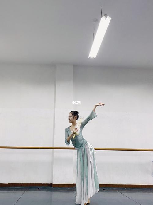 古典舞/伞舞/女子群舞_古典舞_舞蹈_舞蹈造型_娱乐_舞蹈_舞蹈其他