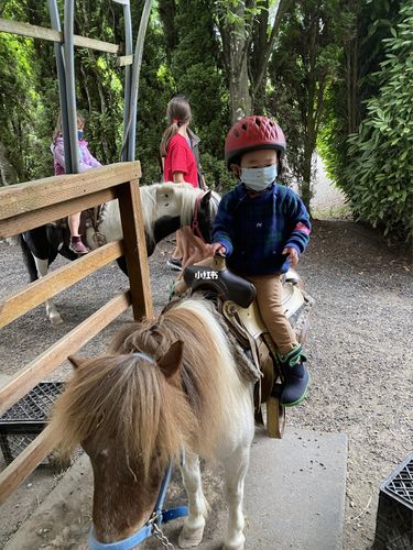 乡村迪士尼之骑小马儿_乡村_迪士尼怎么样_骑马_remlinger farms攻略