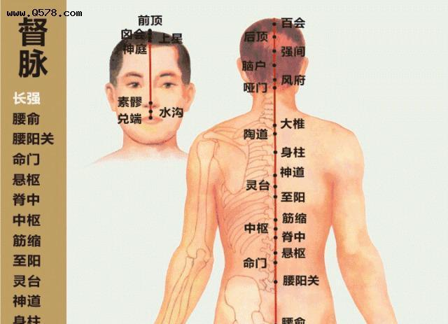 养颜的经络穴位:"二本""三脉""一经"