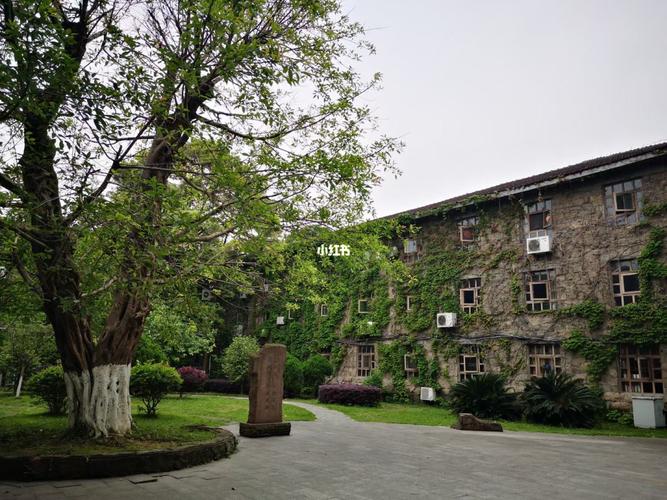 西南科技大学清华楼_工作_出行_人文风光展示