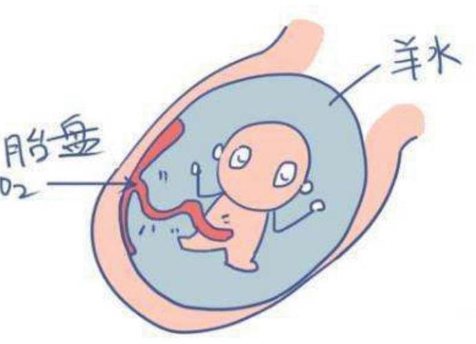 孕期有必要做羊水穿刺吗? 如果你是这几类准妈妈, 最好做一下