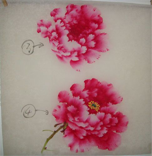国画入门牡丹花的画法教程