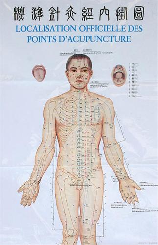 冲脉,胞脉,任脉,督脉,带脉的起始循环位置