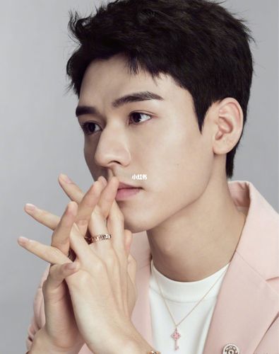 龚俊_龚俊_simon怎么样_全世界最好的龚俊_娱乐_明星