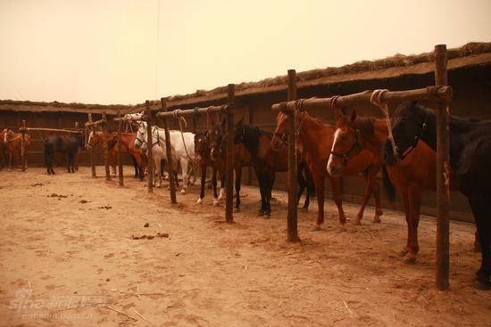 学习时报发表唐朝宰相刘仁轨的讽谏艺术