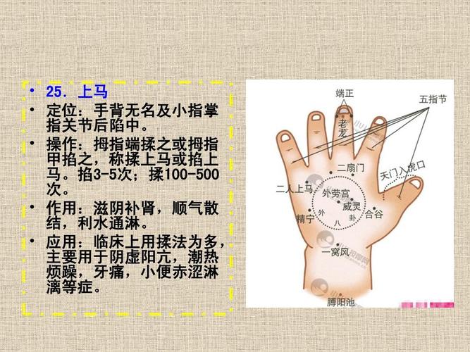 小儿推拿常用穴位