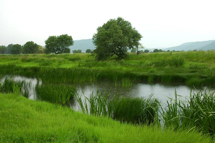守望绿色梦想 吉林金山银山——雁鸣湖篇