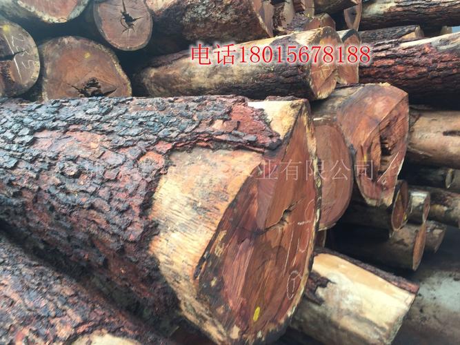 供应 黄金紫檀 原木 精品澳洲黄金紫檀原木 高档家具