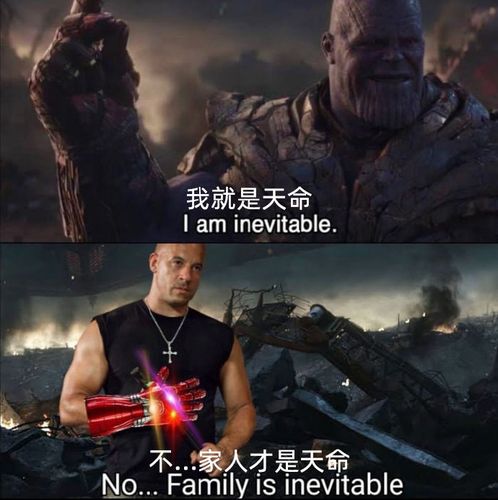 速度与激情家人梗图汇总速度与激情家人表情包合集