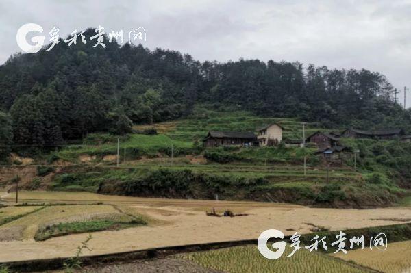 黄平县  多彩贵州网讯 受连日持续强降雨影响,黄平县旧州,浪洞,平溪