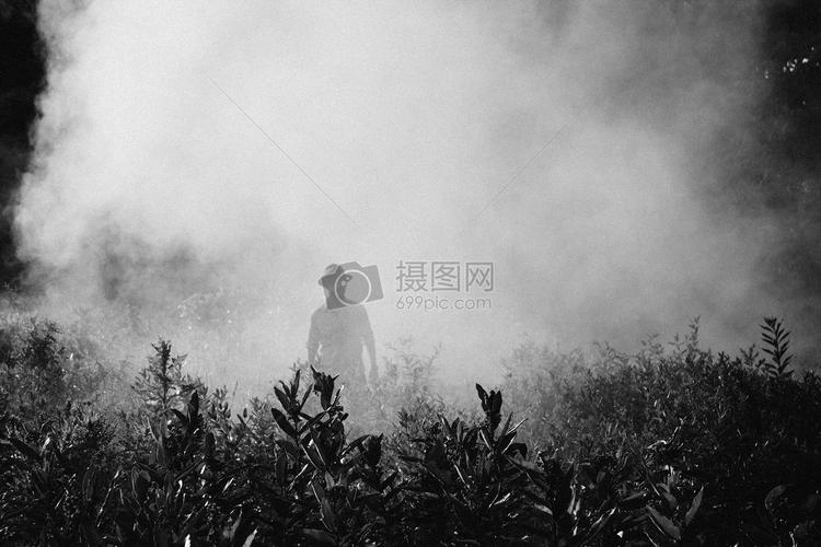 迷雾中若隐若现的人摄影图片照片免费下载,正版图片