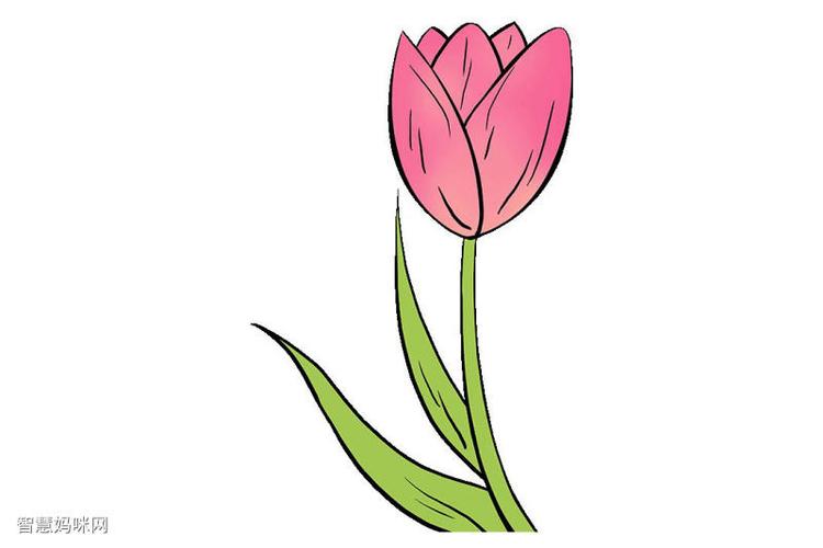 如何画郁金香简笔画