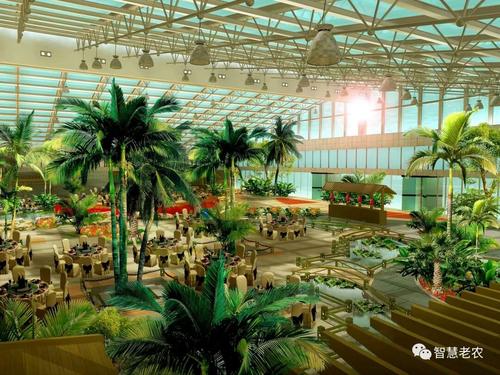 新型农业#温室中的生态餐厅
