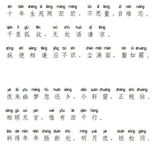 江城子 苏轼 十年生死两茫茫 拼音版