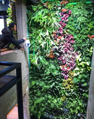 和水哥王昱珩聊植物墙
