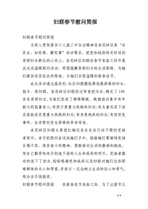 妇联春节慰问简报.docx 2页