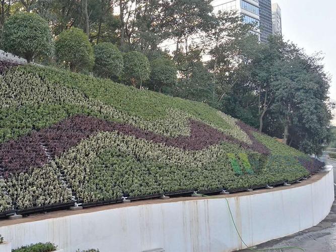 贵州道路景观边坡绿化修复