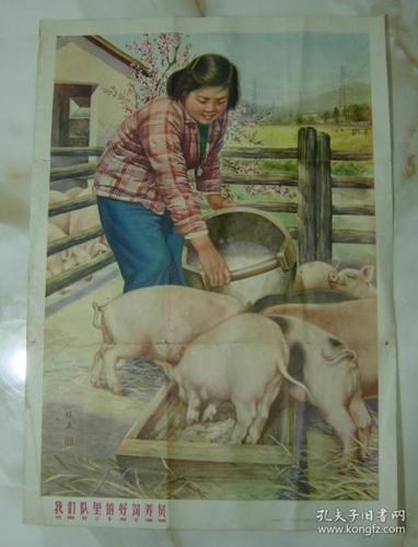 1964年9月《我们队里的好饲养员》第一版第一次发行稀见,对开