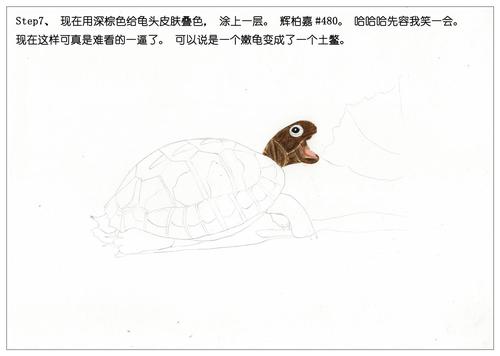 俗话说,千年的王八万年的龟.