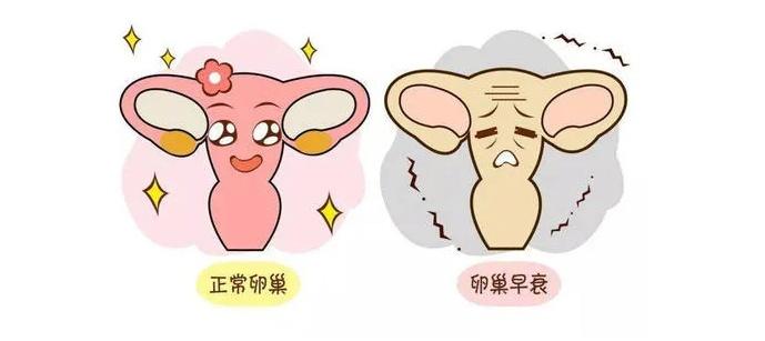 不同的年龄,卵巢保养方法也一样吗?