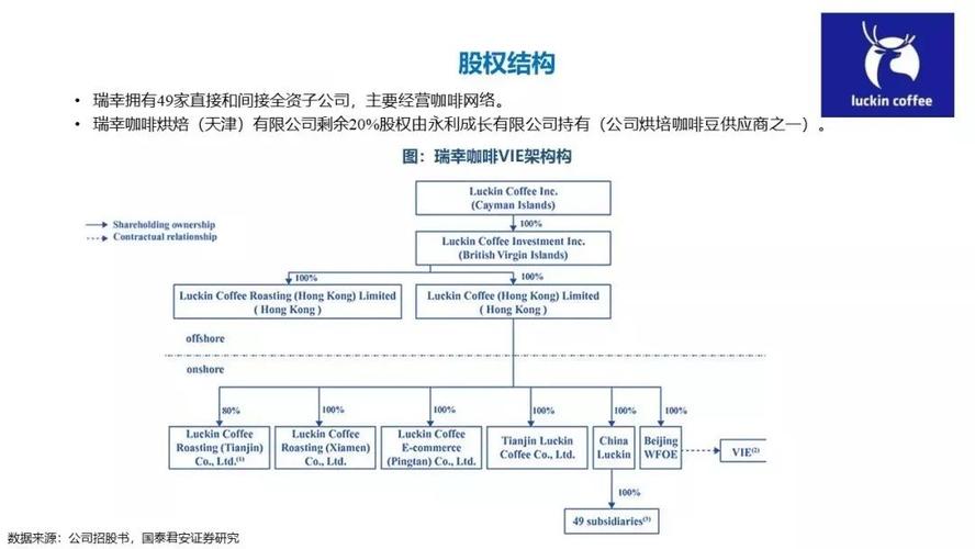 从股权架构的角度分析瑞幸咖啡海外上市: 观察瑞幸咖啡的vie模式