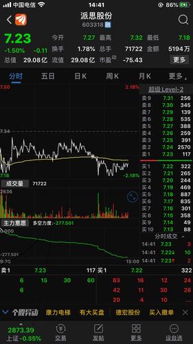派思股份吧(603318.