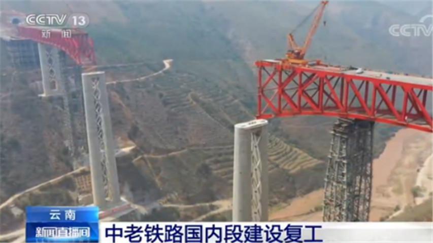 丹棱县应急管理局:义务植树 绿色扶贫