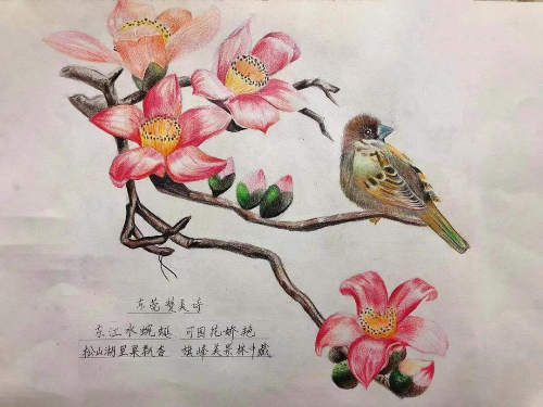 《木棉花开》