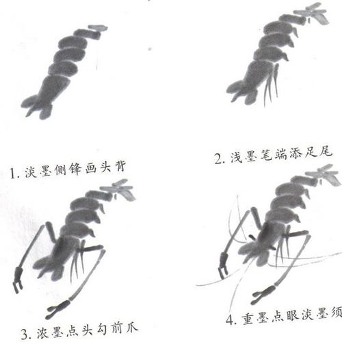儿童画国画简易教程-虾