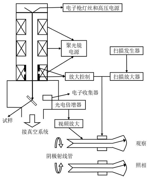 图1.扫描电子显微镜的原理图