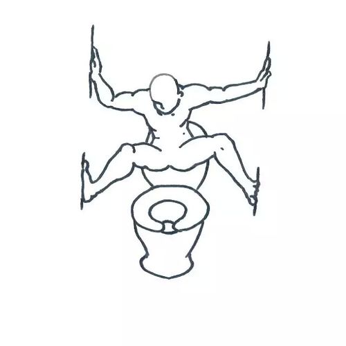 二十四种终极拉屎姿势