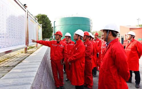 中石化能源管理与环境保护部主任张涌到双河联合站检查指导工作