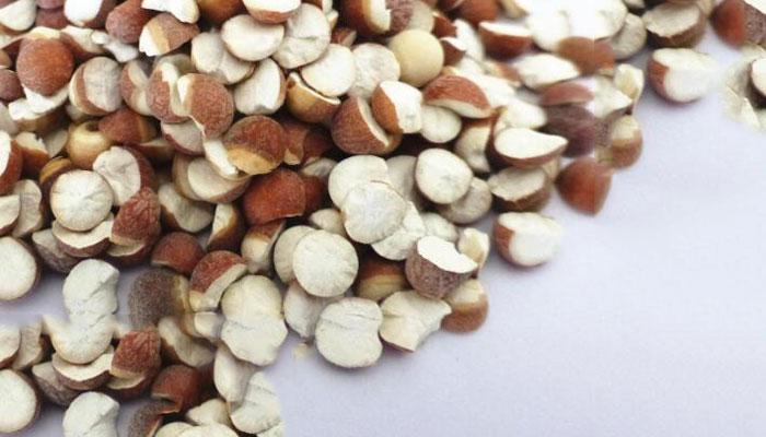 芡实的功效与作用 芡实图片