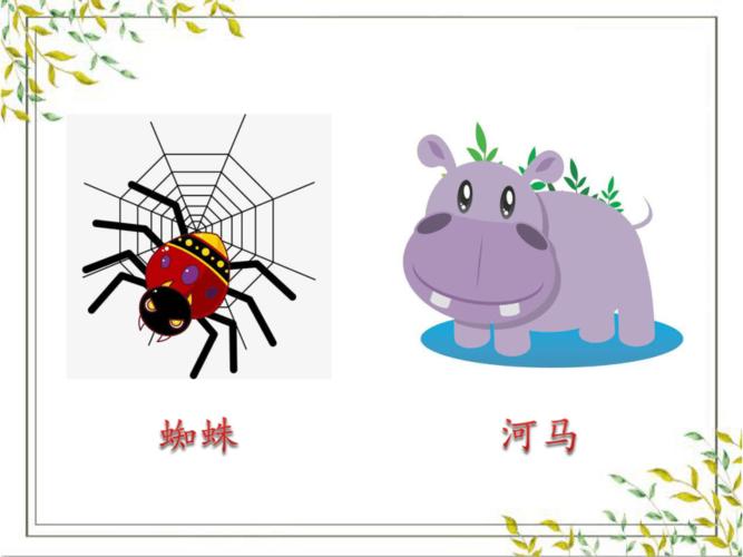 20 蜘蛛开店 课件 (共32张ppt)