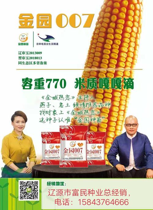 金园007,高产没问题.