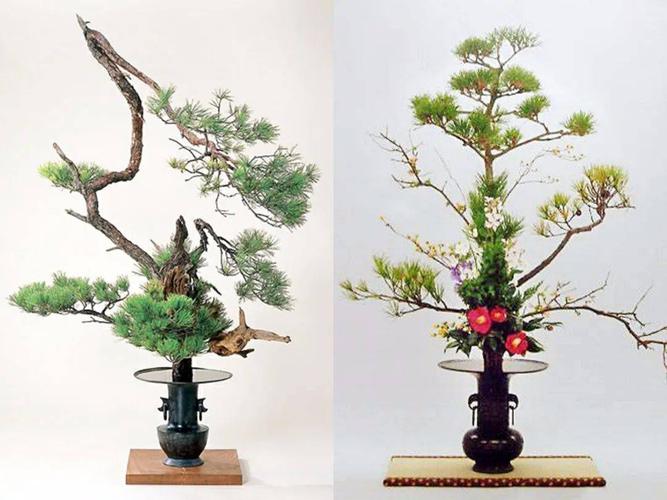 从插花的角度来看,将如此个性张扬,难于聚首的松竹梅三种植物插在同一