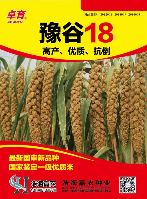 豫谷18,嘉谷356————浩海嘉农谷子系列品种