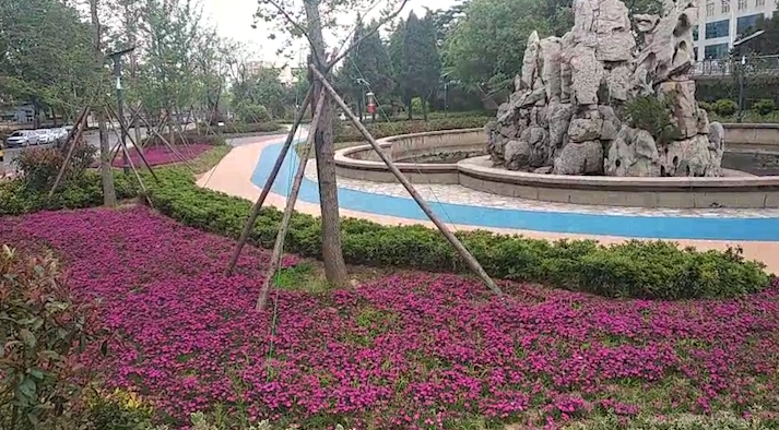 33秒|日照东港区:全面推进道路布绿,拆违建绿 让市民推开家门进公园