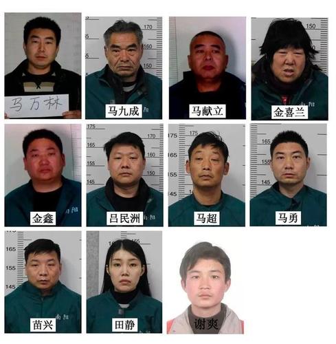 南阳警方公开征集马万林等人涉黑恶犯罪团伙违法犯罪