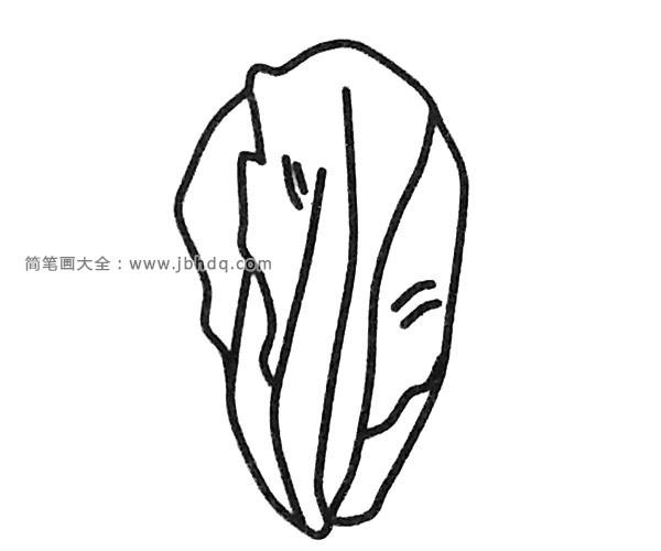 一组生菜简笔画图片_蔬菜简笔画-简笔画大全