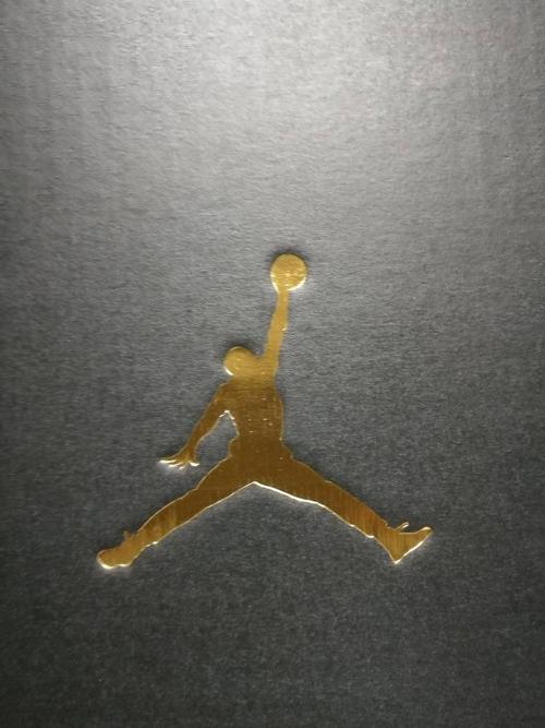 这个篮球鞋标志是什么品牌?谢谢