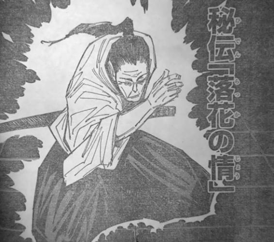 禅院扇的术式暂时未知,但是可以使用和禅院直毘人相同的招式"落花之情