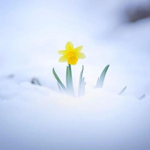 发朋友圈早安的心情句子,温暖舒心,越读越喜欢