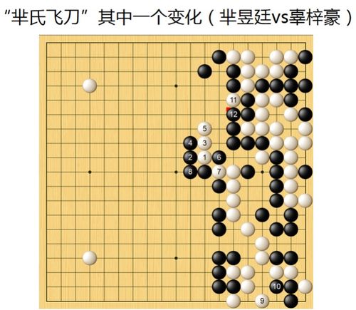 4.最复杂变化(芈氏飞刀 )